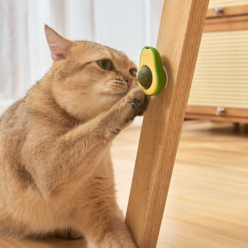 猫薄荷球猫玩具自嗨磨牙逗猫神器牛油果薄荷球逗猫棒耐咬猫咪玩具|undefined