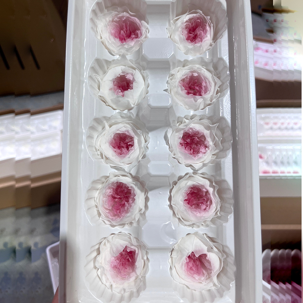 Grado A 3 - 4cm blanco más núcleo de polvo 10 flores / caja