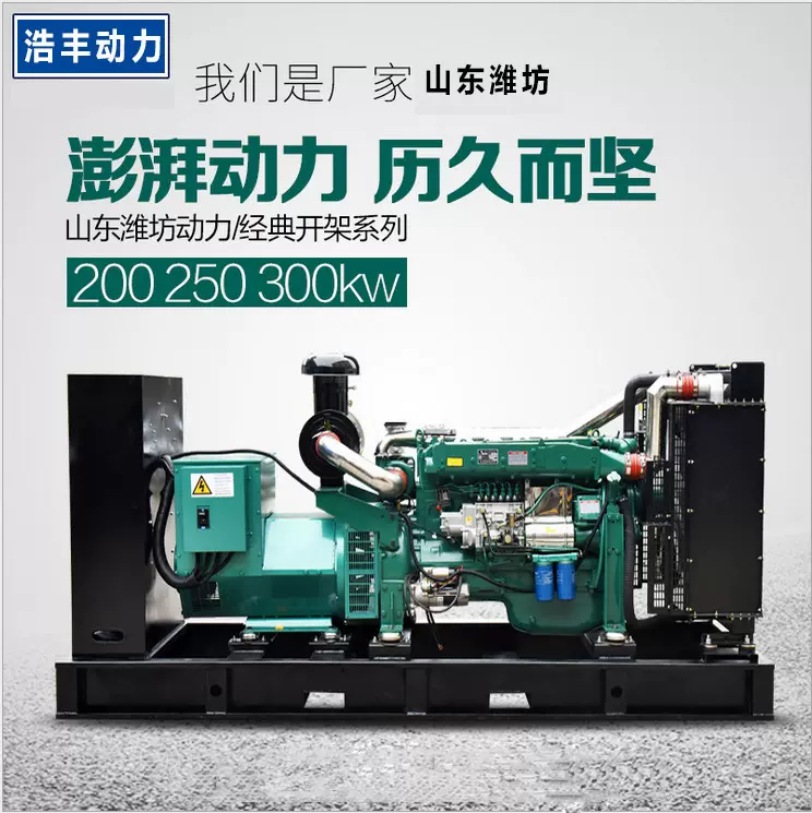 潍坊系列200kw柴油发电机组大型养殖场备用电源250千瓦无刷自动化