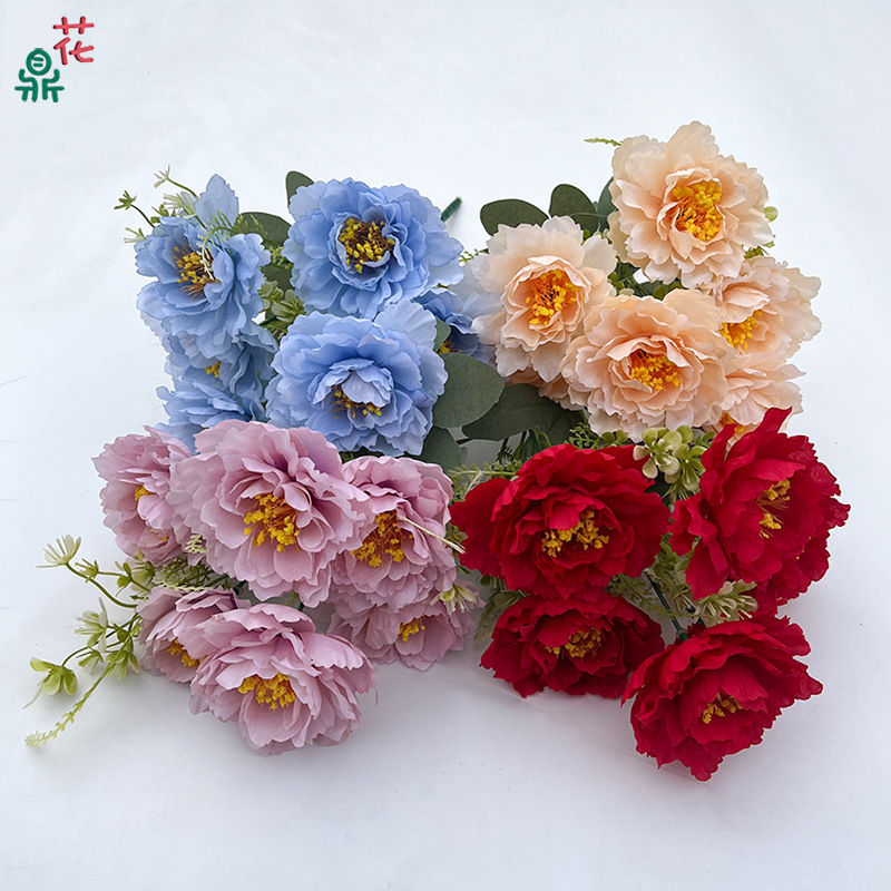 6 Bobo Peony puts the pine pine chrysanthemum commercial beauty Chen…