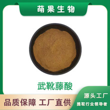 武靴藤酸25% 75% 武靴藤提取物 匙羹藤提取物 武靴叶提取物 现货