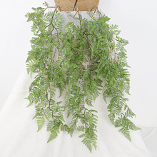 ����ާ�ֲ��ڒ첨˹�ٗlֲ��Gֲ�b�c���õ�������ٻ�