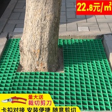 树池格栅塑料树篦子树池护树板树坑网格板树根树围子树下方形盖板