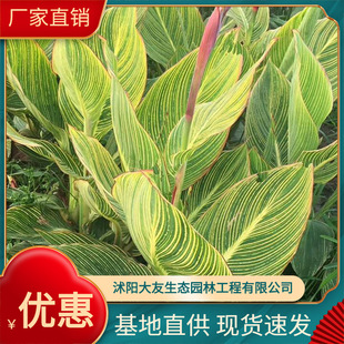 ����ֱ��ˮ�����˽��S���t�� �ۻ� ���~ ���~���˽�