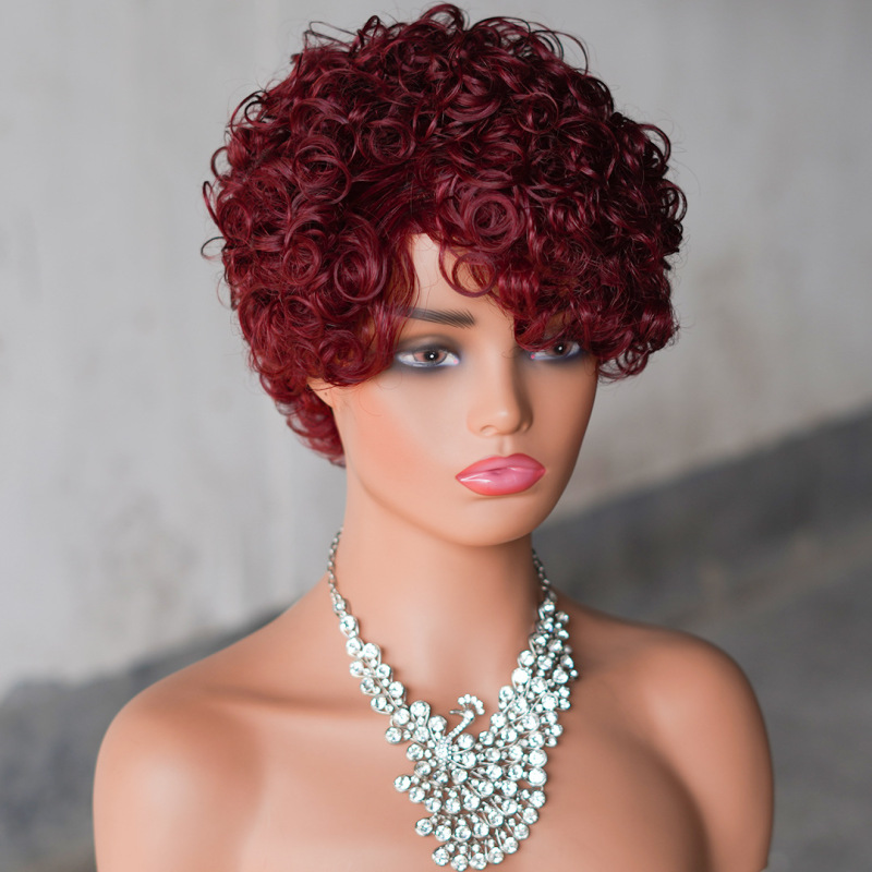 さらさら工場の妖精のかつらアフリカの短い全メカニズムの真人の小さいカールの頭カバーhuman hair wig|undefined
