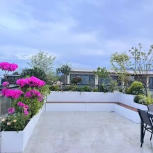 �̨���P䓻��䮐��̨�A����¶̨�������@�e��ͥԺ�M���Fˇ����