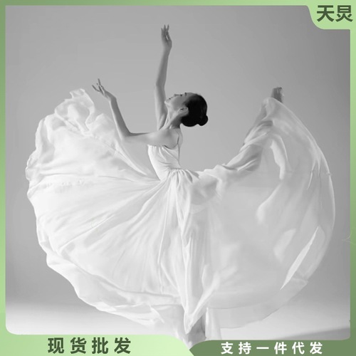 Classical dance clothing, women's gauze skirt, elegant folk dance 720 degree large swing skirt, practice performance skirt