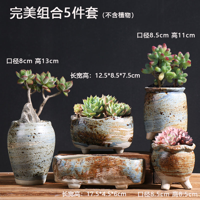 완벽한 화분 5종 세트