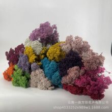 ����С�׻����׵����ɻ�������ϏS��ֱ�Ndiy�廨�����b�