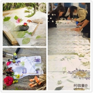 ��Ⱦ��ֲ����Ⱦ��ϞȾľȾ���ްײ����������ֹ�������������̫��
