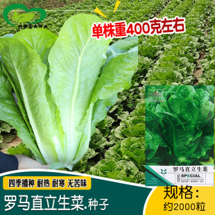 �����_�Rֱ�����˷N�� �r��ˈ@�̨�����׷Nֲ�ļ�ֱ�����˷N��