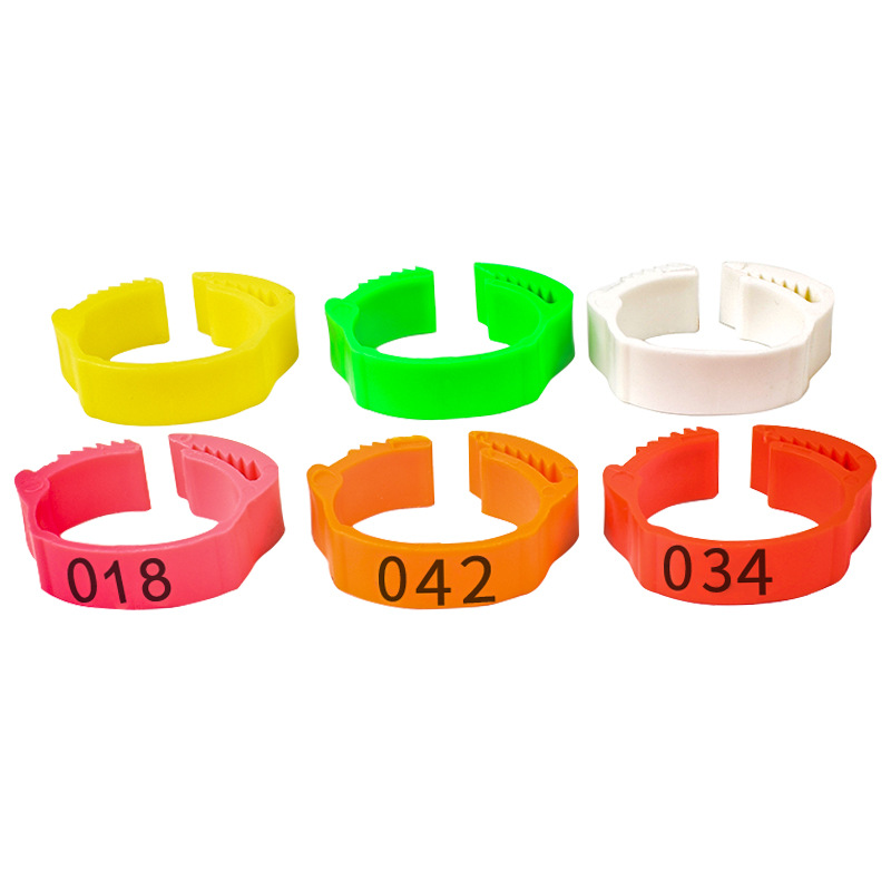 Anillo de pie de pollo tipo fichaje, anillo de pie ajustable, marca de identificación, anillo de etiqueta de plástico general para pollo