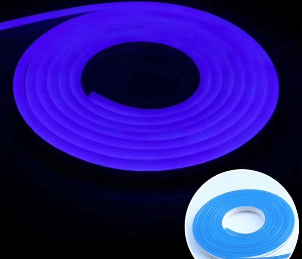 Tira de Luz LED Neón Flexible RGB 12V 6x12mm Impermeable para Publicidad Exterior
