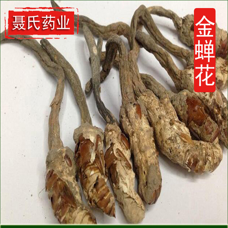 8527291236_903658088