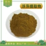 水溶浮萍草浮萍提取物