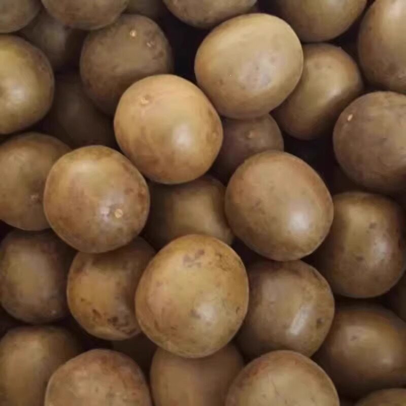 Dried Luo Han Guo Monk Fruit Whole Pods 30 Pack Large 53-58mm Guangxi Herbal Tea for Brewing quality and texture