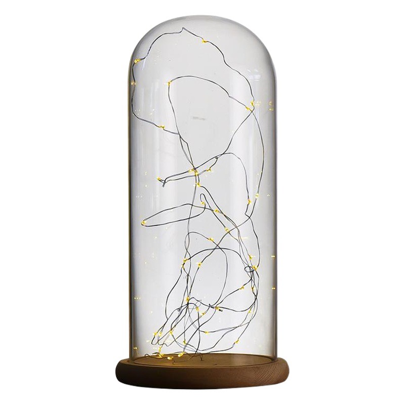 Yongsheng flor cubierta de cristal creativo DIY paisaje cubierta de polvo cubierta micro paisaje pantalla caja fábrica al por mayor