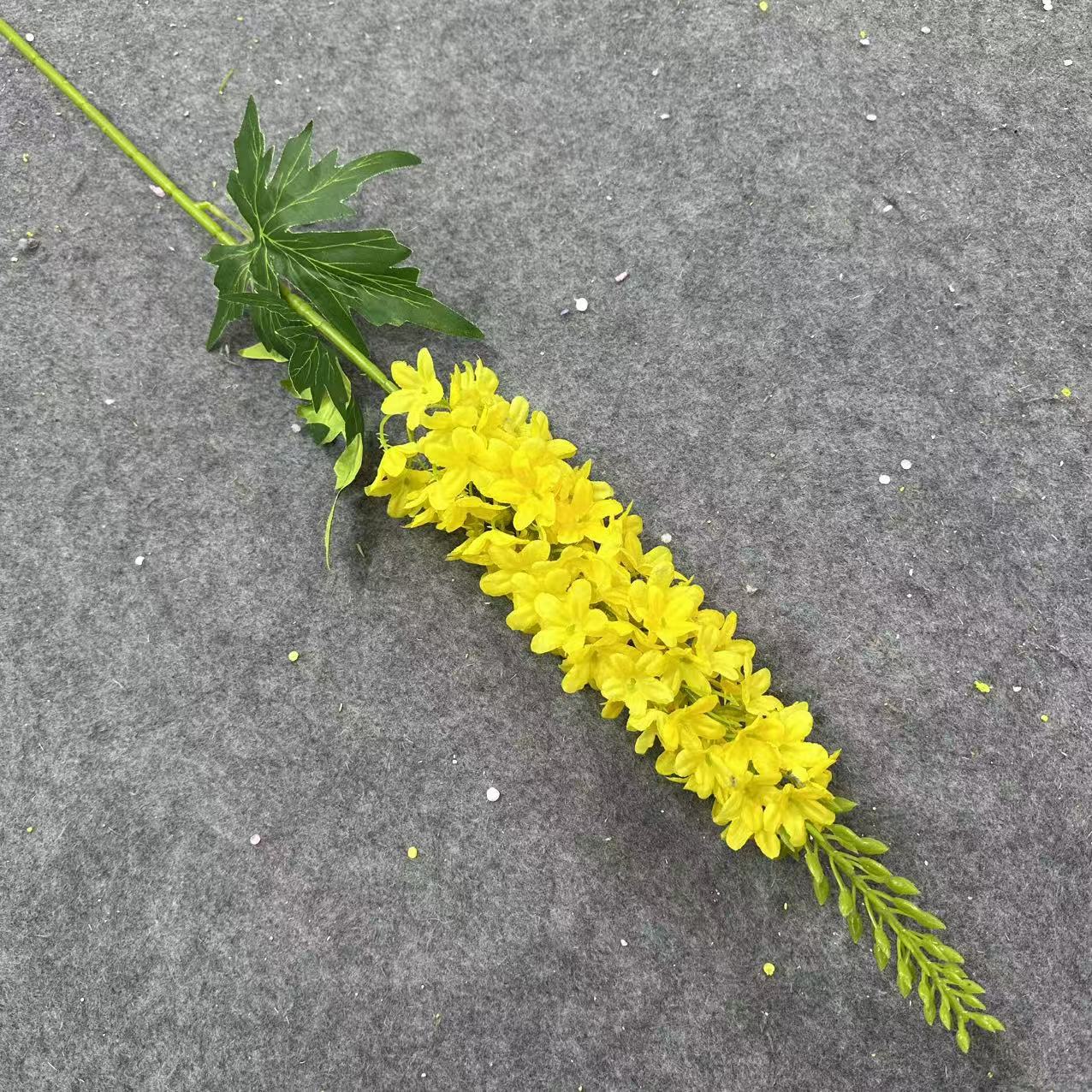 Yellow tail cordyline