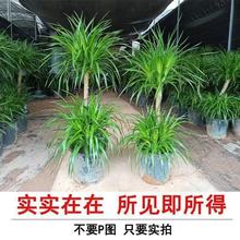 ��횘�������Զ��^��Ѫ���҃ȿ͏d���F�����Ի���ֲ���k�����辰
