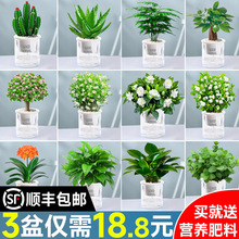 �G�}�j���m�lؔ�仨������С�Gֲ�k���҃ȶ���ֲ�����ȩˮ����B