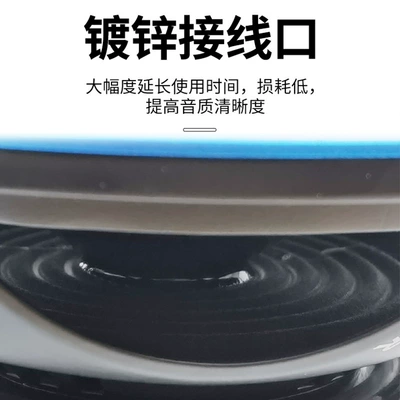 mids, and powerful bass, Car speaker/subwoofer