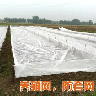 80Ŀˮ��Λ���Bֳ�W���ӾWˮ�a���W��������W ��������������