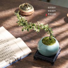 �ذ��߅����ѩ��������Ϙ��辰�k���҃ȼt�����ͶU�����Ԕ[����