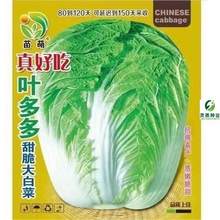 18ײ˷NӖ|ײļ~ײ߲˷NӴȫ