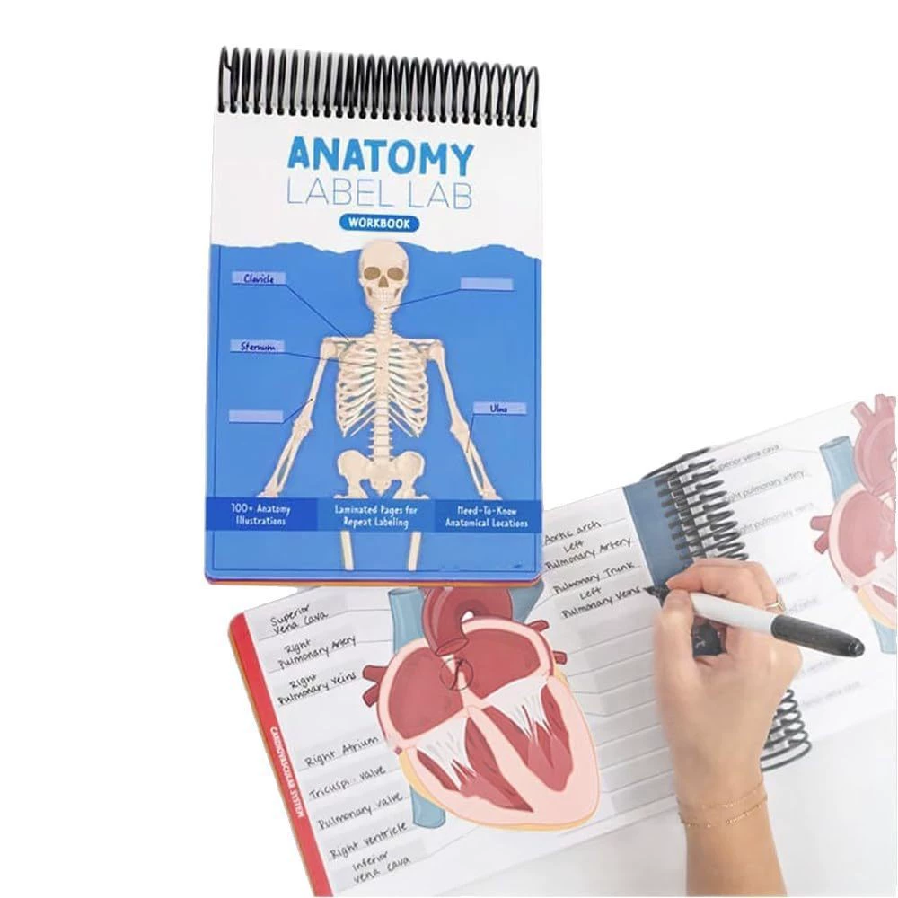 Рабочая тетрадь Anatomy Label Lab, спираль, ламинированные страницы для повторной маркировки, 27×17,5×2 см