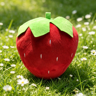 ��ݮ��ż���пɐ����Ů�����նY���¿�ˮ��ë�q�����ż���޹���