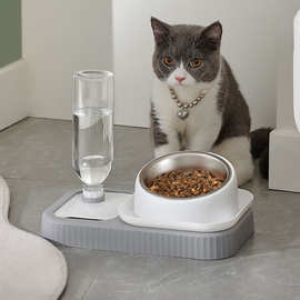 猫碗双碗保护颈椎防打翻自动饮水猫食盆狗碗猫水碗支持打logo贴牌