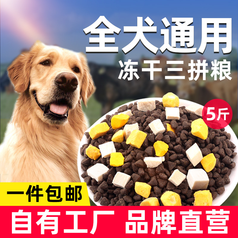 Dog food Manufactor Wholesale 5 Fresh meat Three-mile Dog food Puppies currency Teddy Golden Retriever dog On behalf of