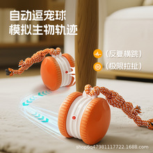 ������Ʒ���܌�����߹������ҧ�����l�����ҧ����Ȯĥ���羳