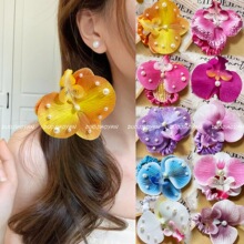 �W�t�¿���������m�lȦ���滨������^������ĺ����ȼ��L�^��Ů