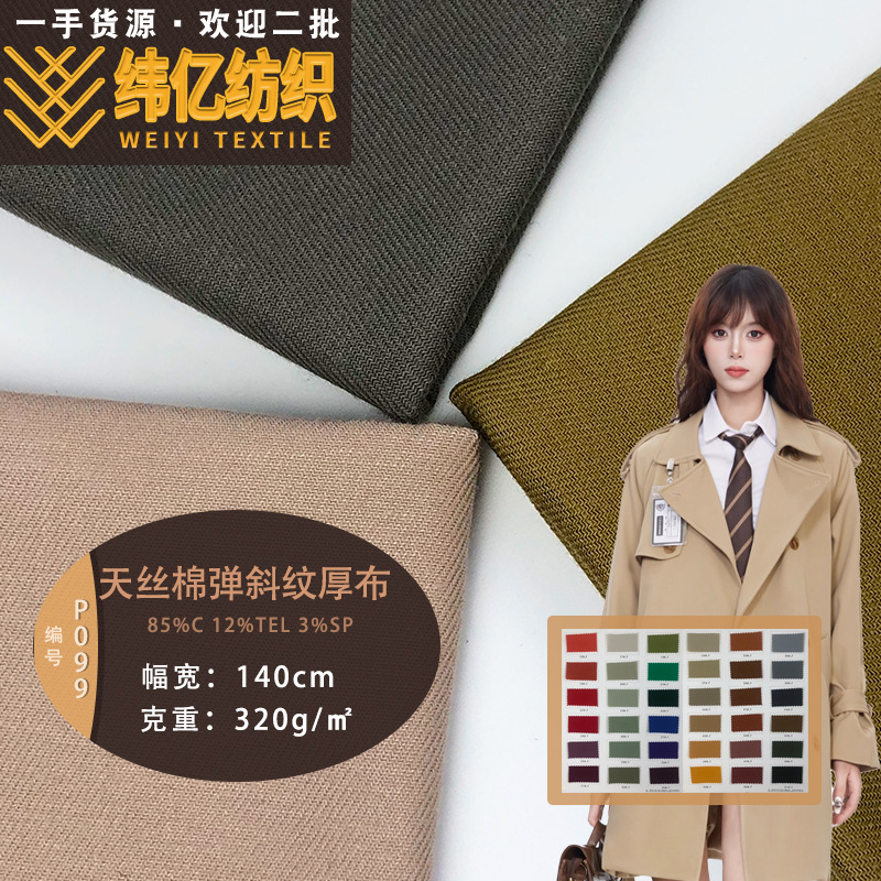 天丝棉弹斜纹厚布 宽松舒适防风风衣 工装裤 棉服羽绒服布料 现货