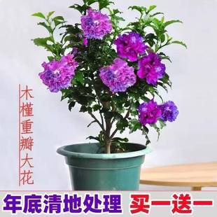 ͥԺ����ľ���ذ���ļ��ͺ��͟������ֲ̨���҃����ϱ������B