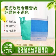 三色蓝套袋阳光玫瑰专用套袋纯绿色有效防止幼果期日灼