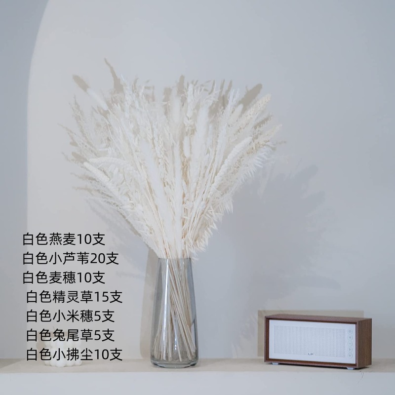 アマゾンはよく売れています。葦の花の花束です。|undefined