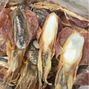 ������خa����Ѫī�~��؛���������Ҝ�ī���~�ɞ��\500�� ����