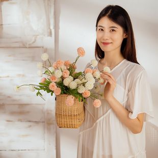 �ٻ����滨�����ѹ�ӢINS�L�S�ҼҾ��b羳��c���lMW66787