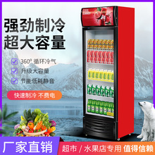 冷藏单门饮料柜商用保鲜双开门立式水果啤酒冰柜冰箱超市展示柜