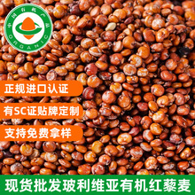 �����S�������M��Դ�^M���w���o�҉m�s�|ԭ�b�ЙC�t޼��