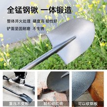 锰钢铁锹大铁锨家种菜神器工兵铲工具雪铲户外铲子车载铲植树挖土