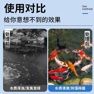 ���P��~���^�V���D��΢�V�Cˮѭ�hϵ�y�\�����^�V���_ϴ�~����x