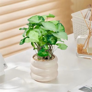 �G���`�Ϲ�������k���҃ȿ͏d����Gֲ�������Է�ݗ������՚�