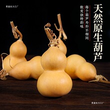 �˛V��Ȼ���J���������ղ��������ֶ����^�ְѱP�����[��