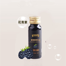 黑莓浆饮品定制生产线 OEM 瓶装植物饮品 袋装10ml-50ml饮料贴牌