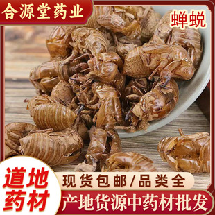 �s͑�в�ș�� ֪��Ƥ�s���s��ˮϴ���s�� �����s͑�����֪�˚�