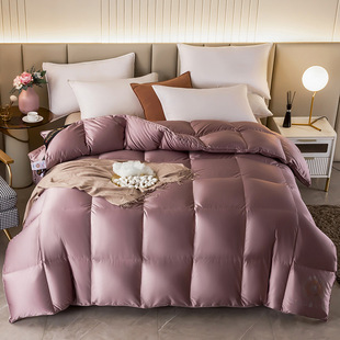 Wholesale high-end 95 goose down quilt summer cool quilt air conditioning quilt skin-friendly naked sleep four seasons quilt core silk single-layer three-dimensional quilt