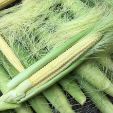 ���׹S���r�߲ˎ���10��ˮ�������׎�Ƥ���С����о���װ�����